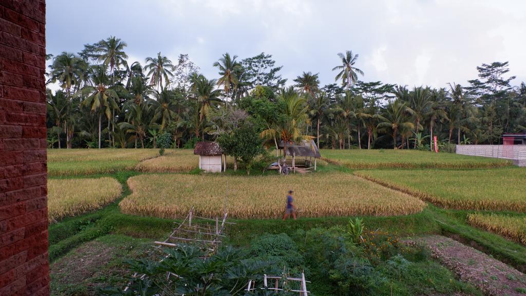 Hotel Wayan Garden Ubud Exterior foto